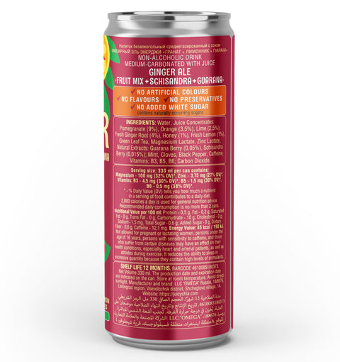 Ginger Ale Fruit Mix, Schisandra & Guarana 330ml