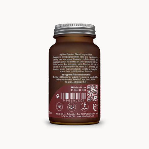 HIFAS da TERRA Mico-Rei