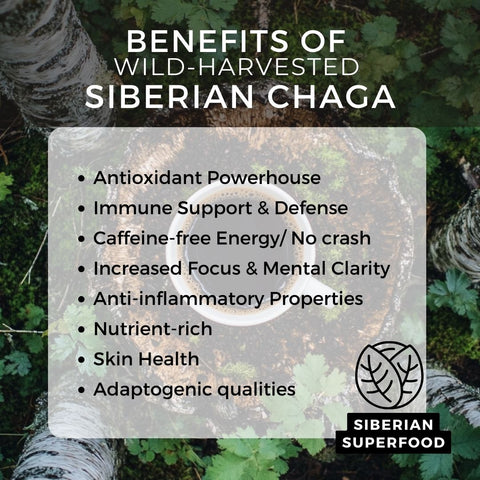 Siberian Crystal Black Chaga, 30g