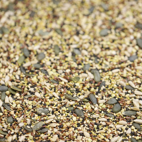 Scoop’s Organic Seed Mix - 100g