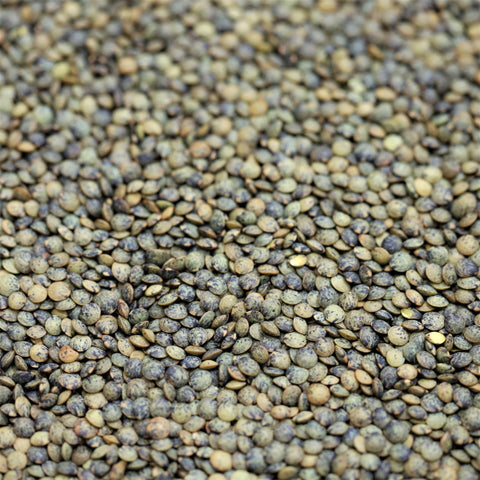 French Green Lentils - 100g