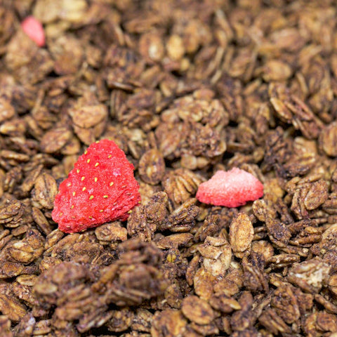 Scoop's Chocolate Berry Granola - 100g