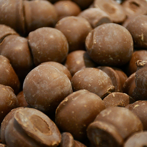 High-Protein Hazelnut Truffles (with Pre+Probiotics) - 100g