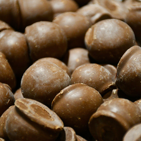 High-Protein Peanut Truffles (with Pre+Probiotics) - 100g