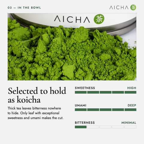 Platinum SS Matcha (Ceremonial Grade, Uji, 30g)