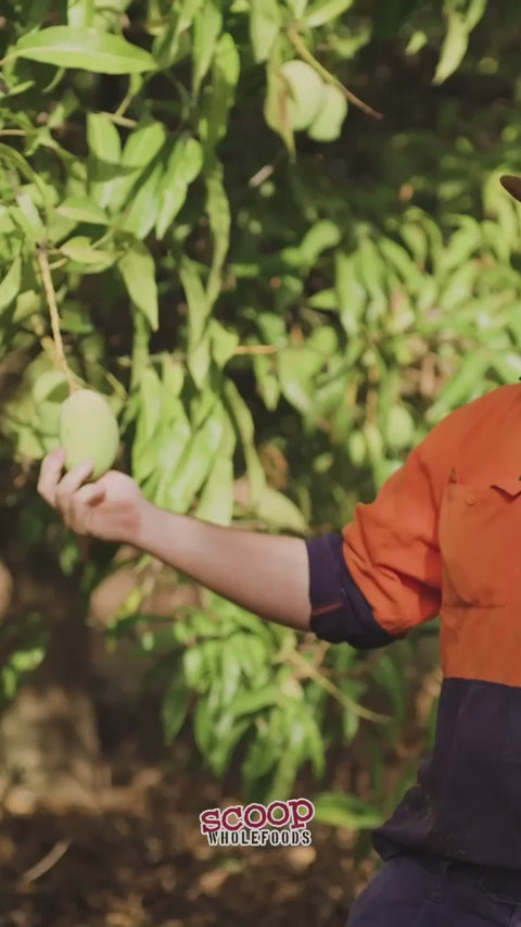 Dried Australian Pineapple - 100g